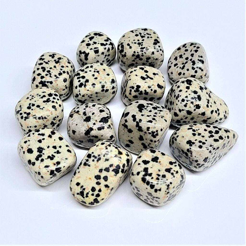 Dalmatian Jasper Tumbled Stone