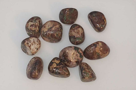 Green Leopardskin Jasper Tumbled Pocket Stone