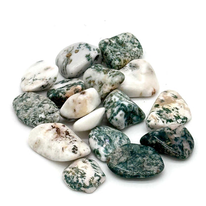 Tree Agate Tumbled Stone