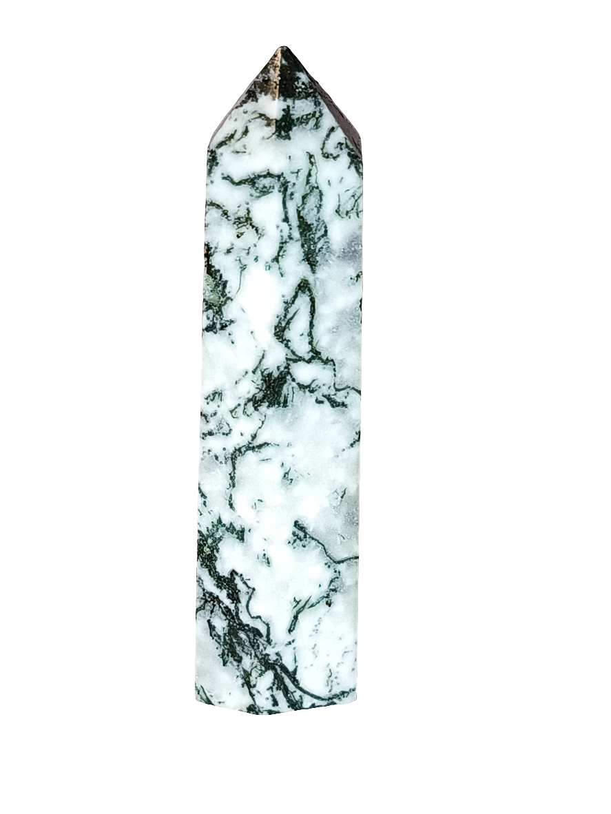 Tree Agate Point
