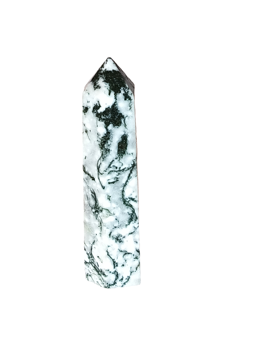 Tree Agate Point