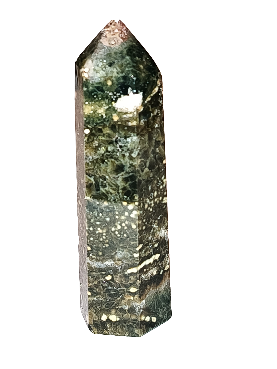 Ocean Jasper Point